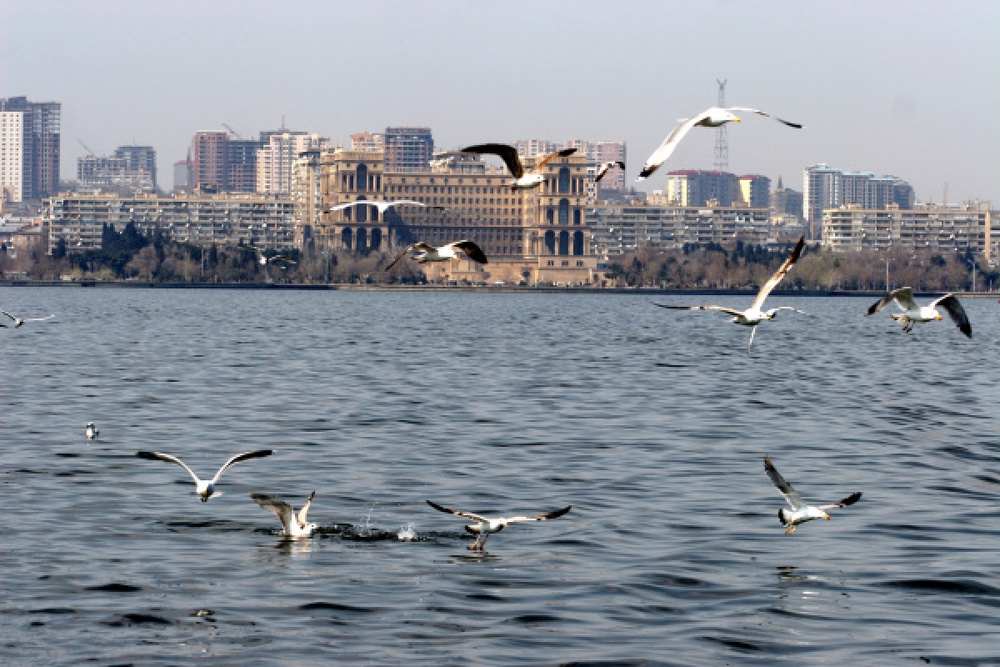 Каспийское море. ©РИА Новости