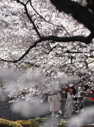 Фото Yuriko Nakao / Reuters©