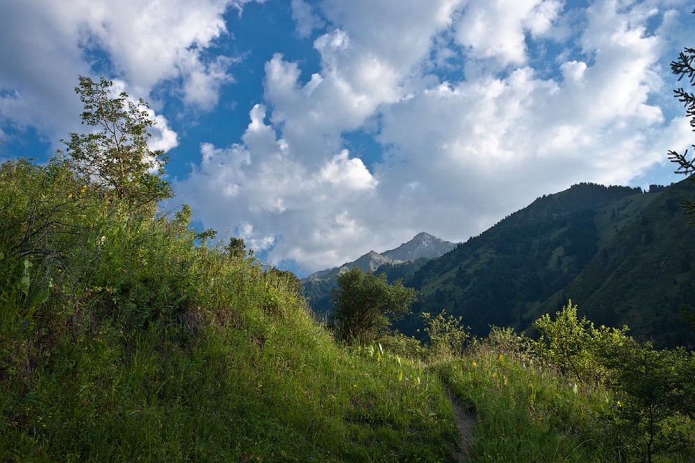 Ущелье Алмарасан. Фото пользователя Crowler с сайта yvi.kz