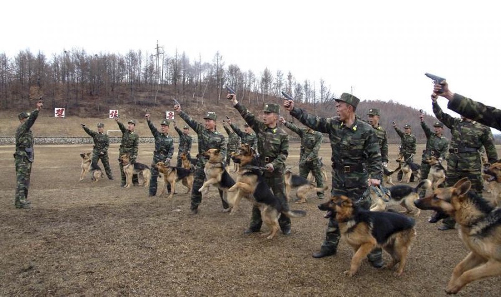 Фото REUTERS/KCNA©