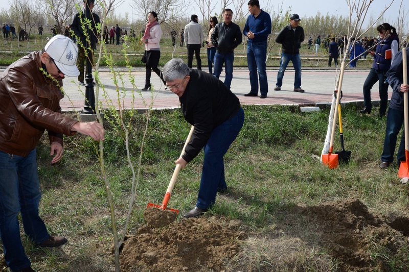 Аким Кызылординской области Крымбек Кушербаев на общегородском субботнике. Фото Tengrinews.kz©