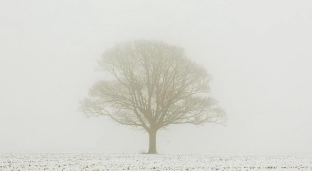 Фото REUTERS