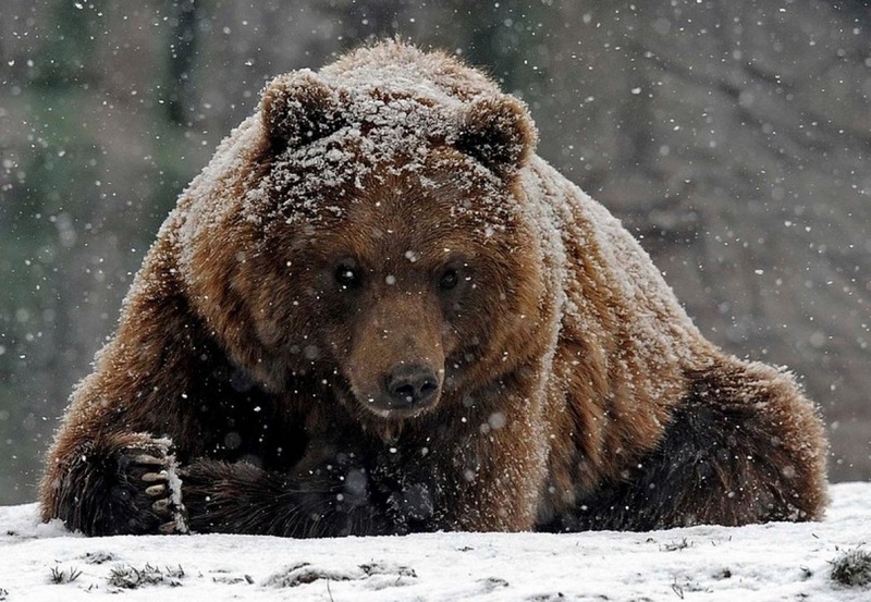 Фото с сайта sakha.gov.ru