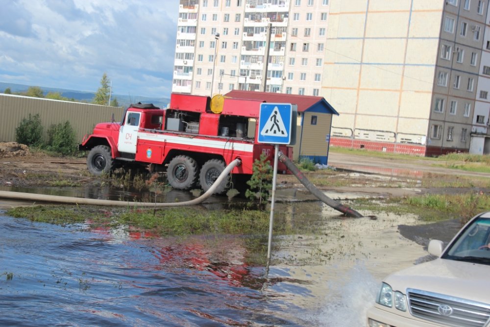 Фото с сайта amurmedia.ru