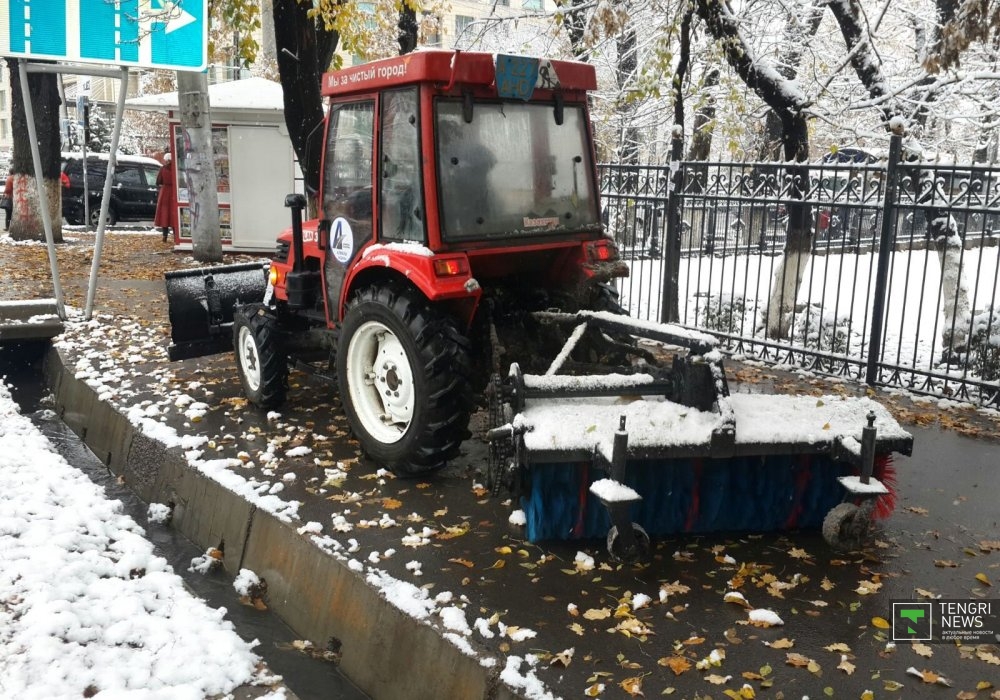 Фото предоставлено КГП "Алматы Тазалык"