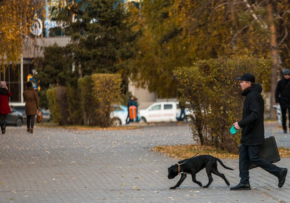 Фото Турар Казангапов ©