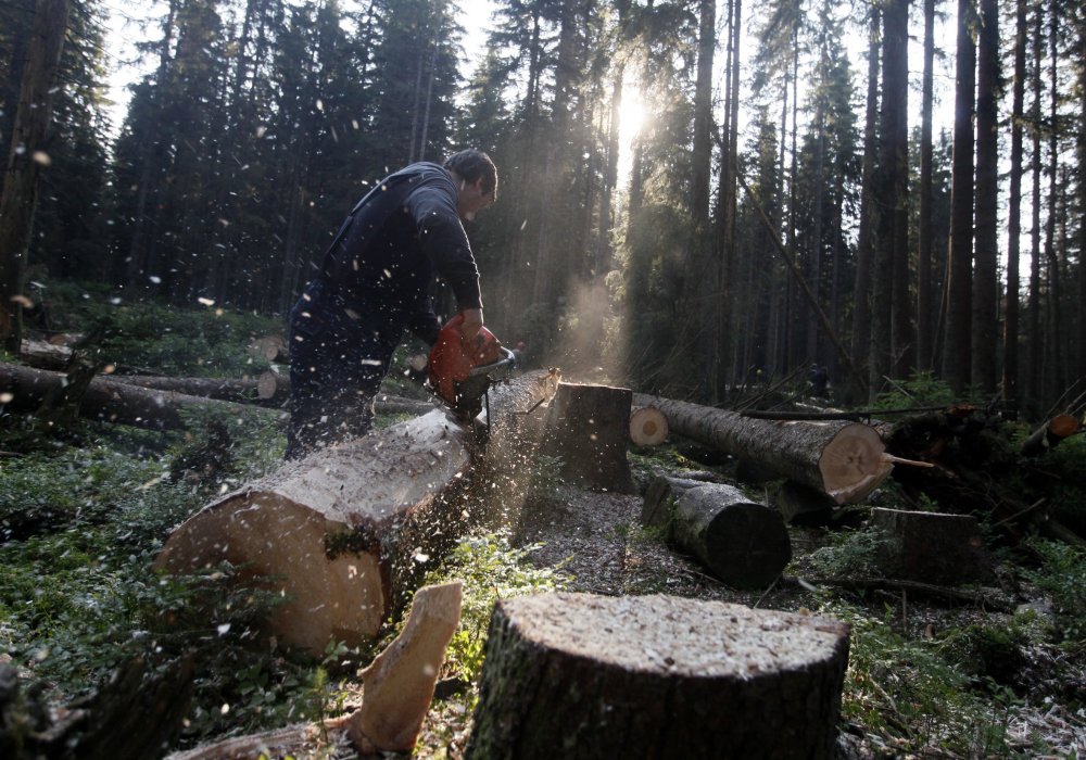 Фото REUTERS/Petr Josek