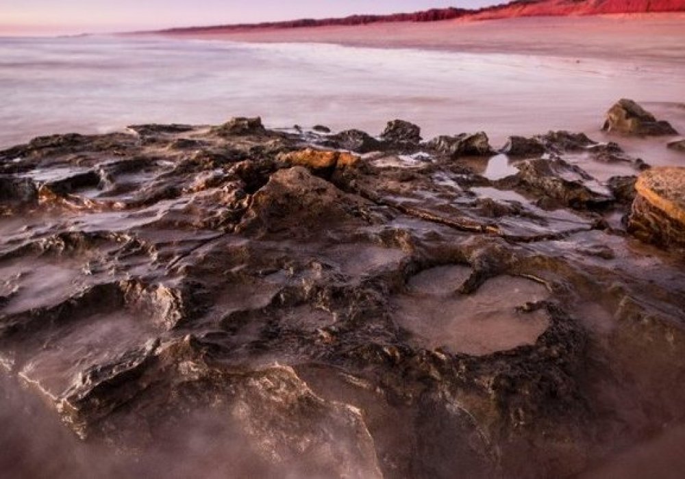 Фото: The University of Queensland / edition.cnn.com