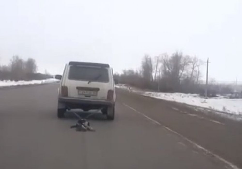 Скриншот с видео.