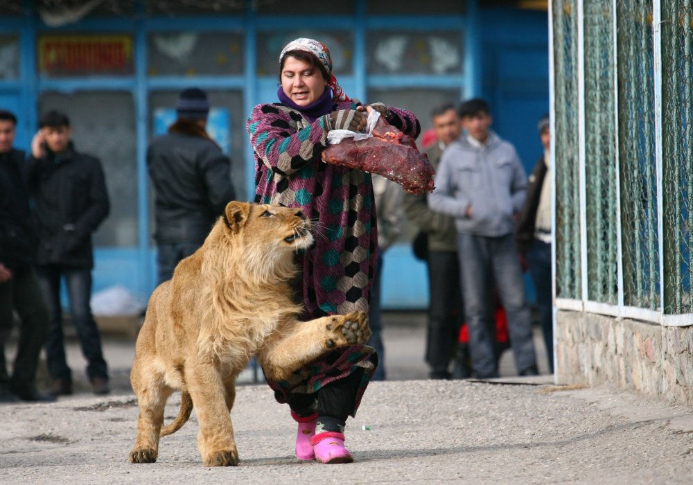 Фото: Нозим Каландаров / Азия Плюс