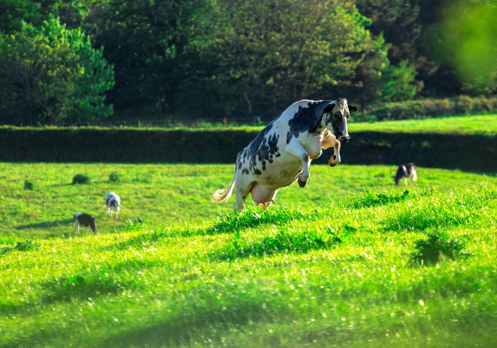 Иллюстративное фото. © Shutterstock