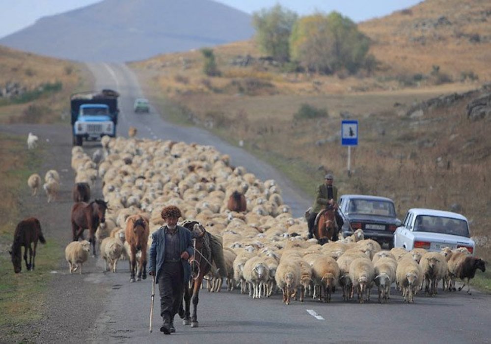 Фото с сайта narodna-pravda.ua