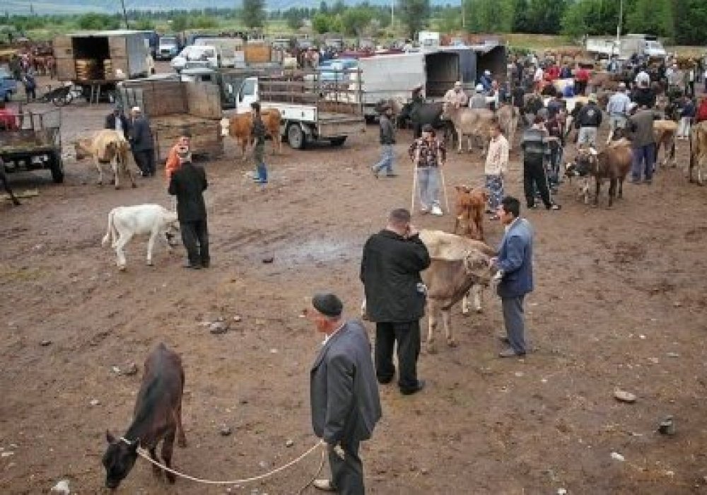 Фото с сайта voxpopuli.kz