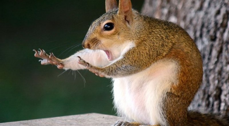 © Mary McGowan /  Wildlife Photographer of the Year