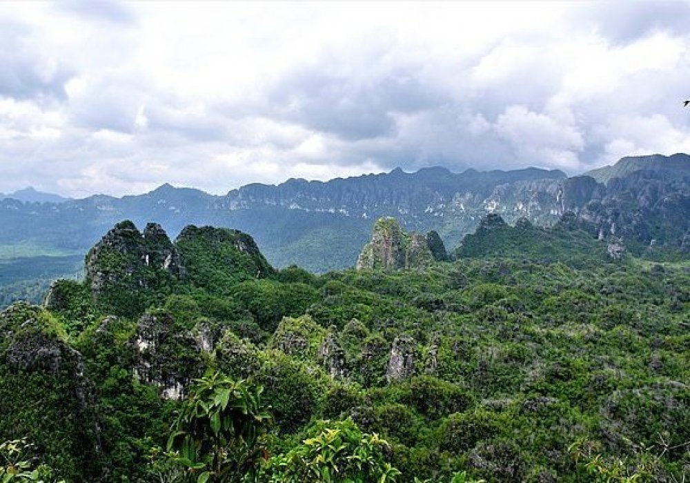 Остров Борнео (Калимантан). © Nature