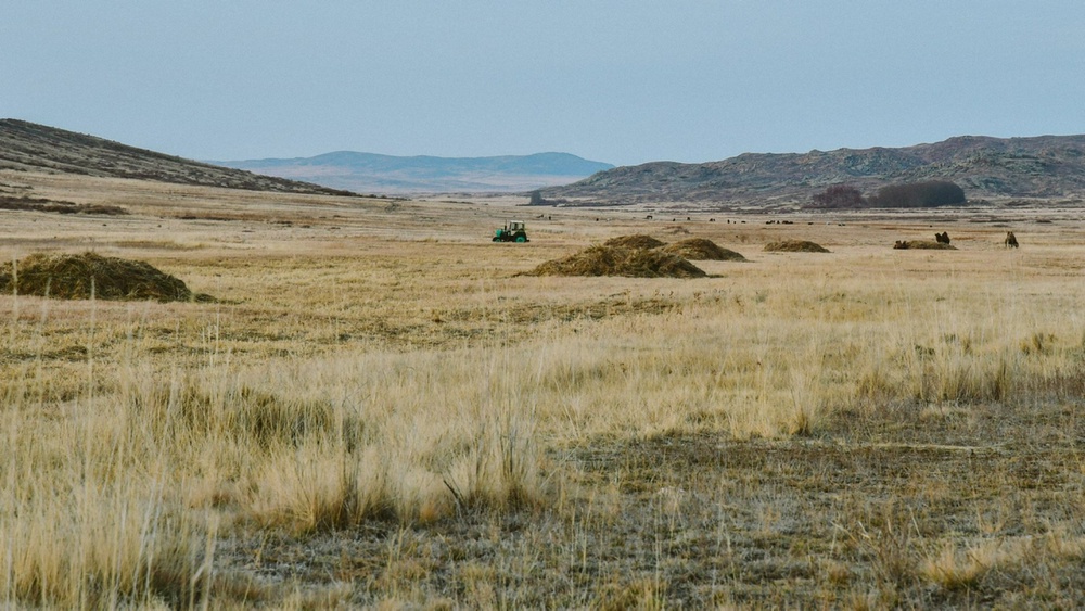 Фото © Турар Казангапов 