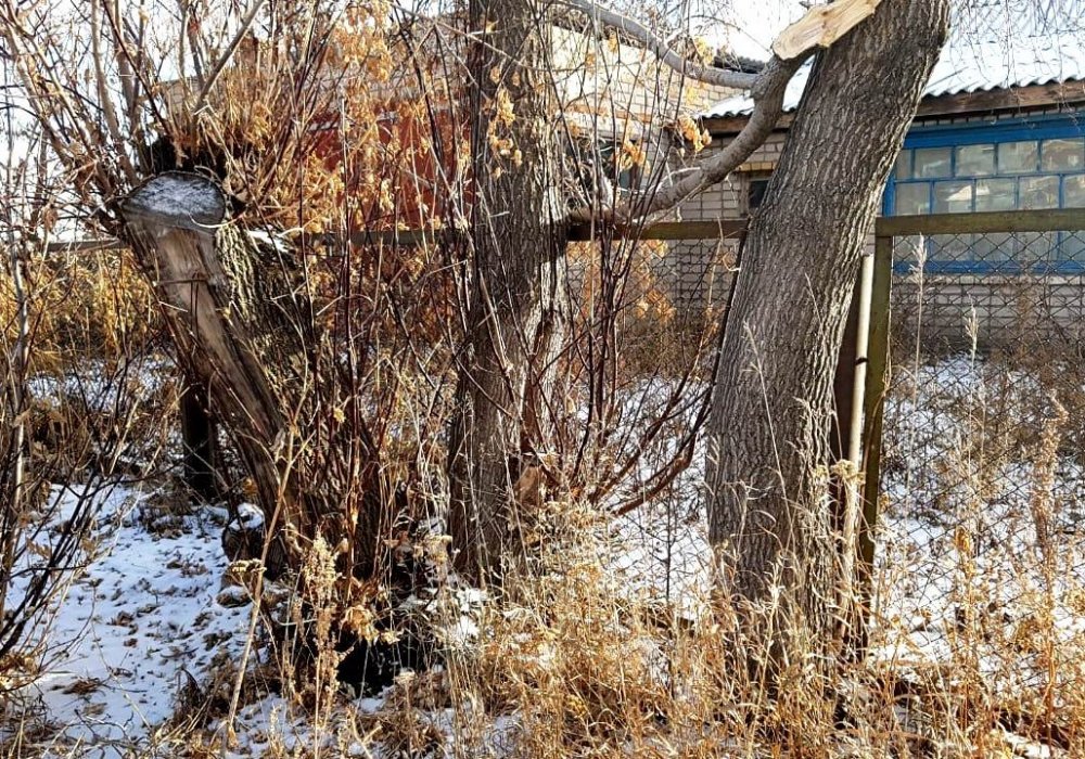 Фото с сайта Петропавловск.news.