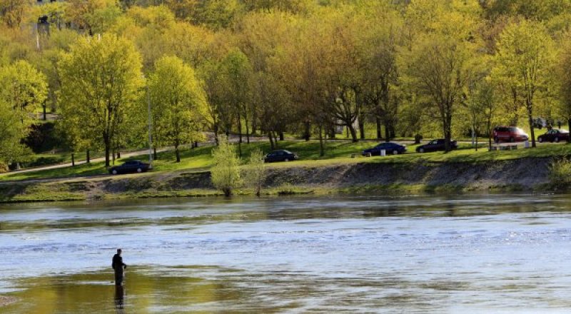 Российско-эстонская граница на реке Нарва. © РИА Новости