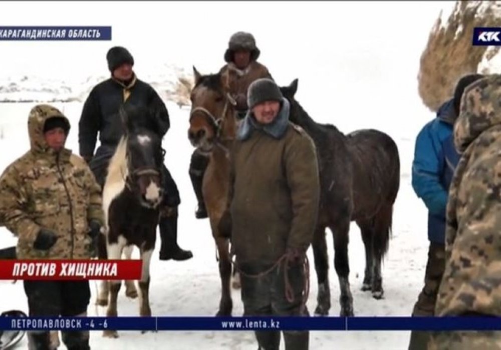 Кадр телеканала КТК