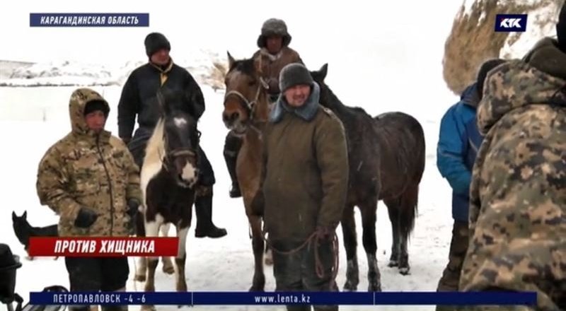 Кадр телеканала КТК