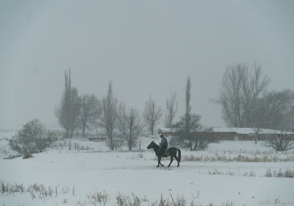 Фото ©Турар Казангапов