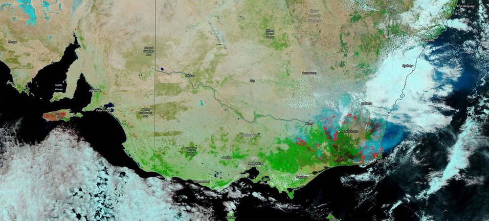 Схема пожаров в восточной Австралии / © NASA Worldview