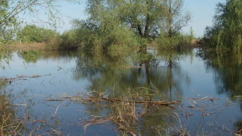 Местность вблизи поселка Большой Чаган. © panoramio