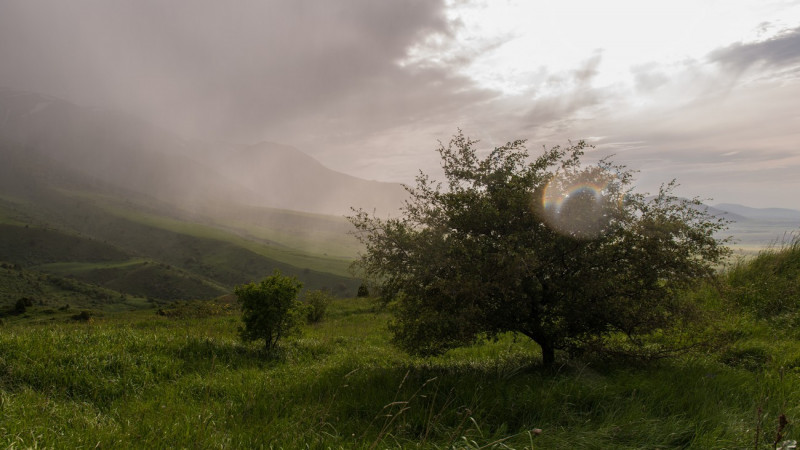 Фото Турар Казангапов©