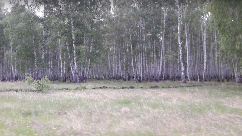 Окрестности села Муслюмово. © Google Maps