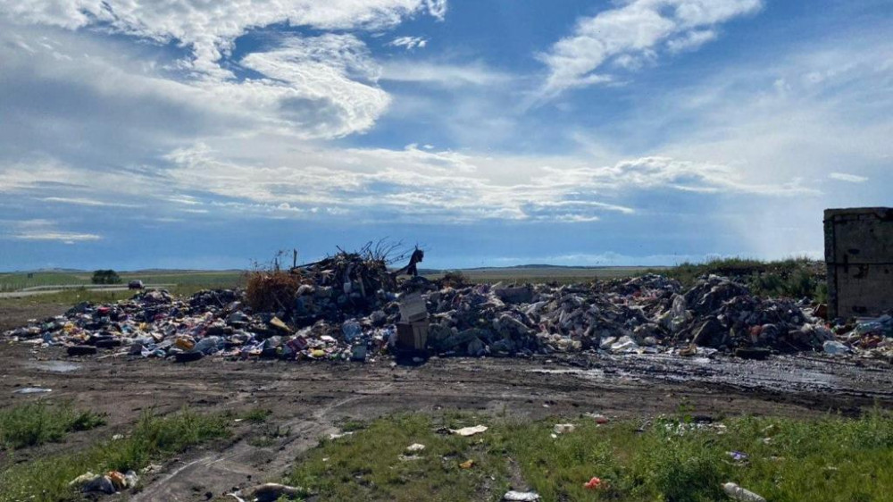 Фото предоставлено пресс-службой Минэкологии