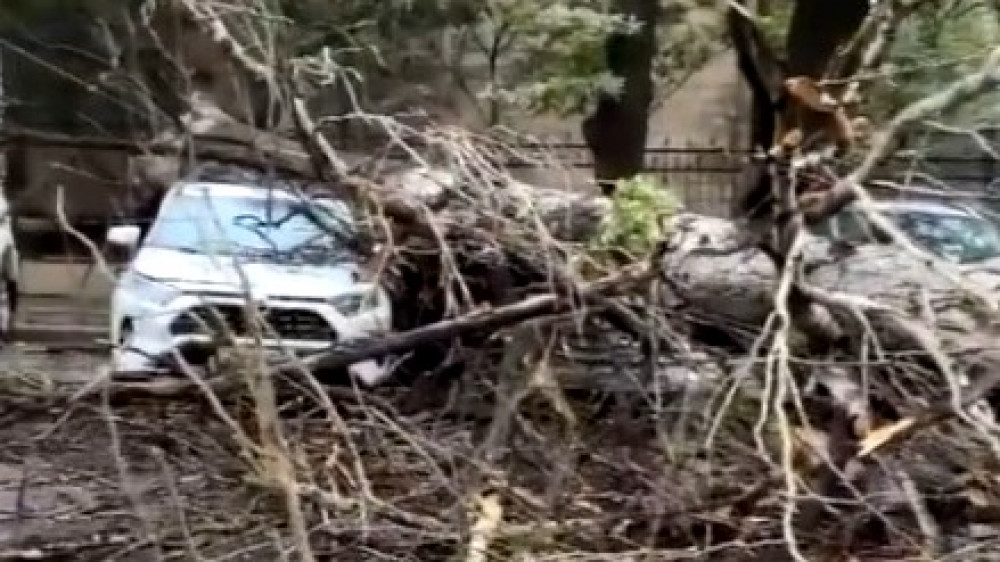 Скриншот с видео.