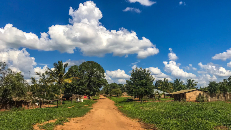 Фото:elements.envato.com