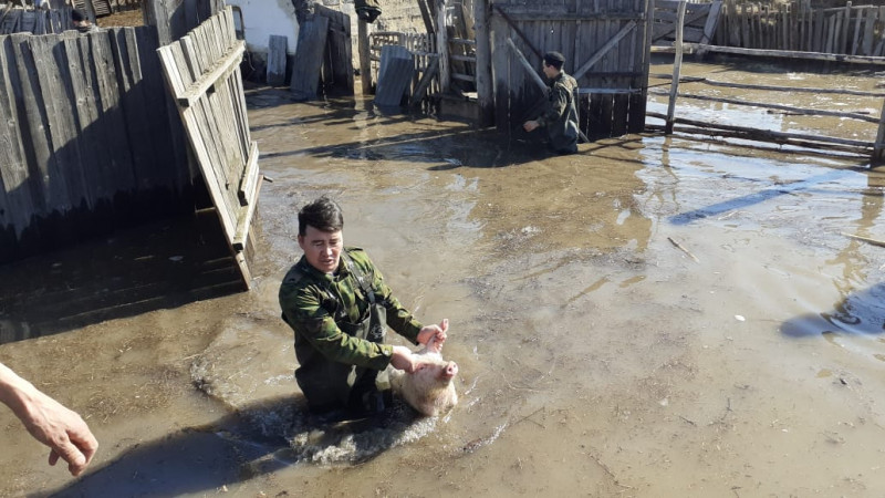 Фото: ДЧС ВКО.