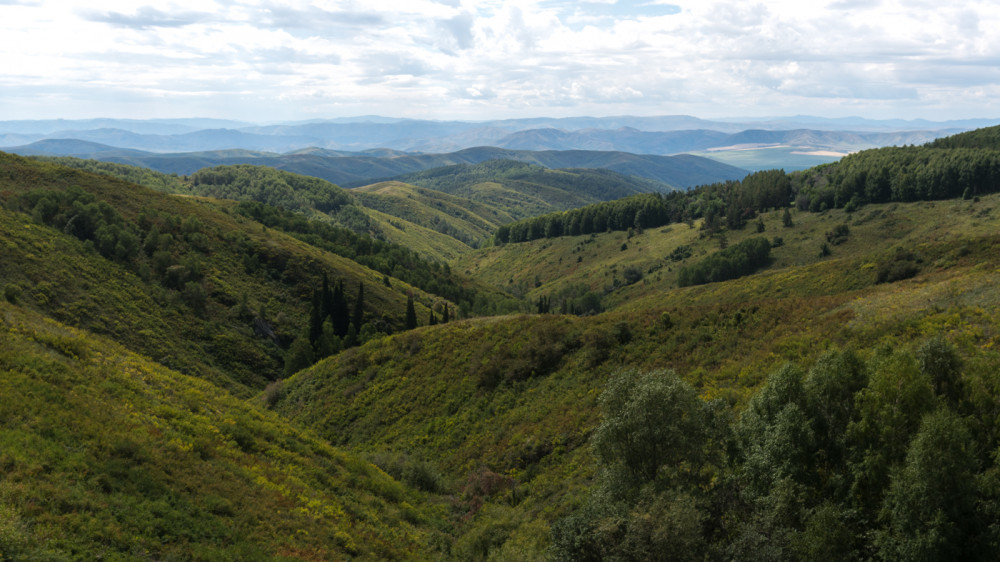 Восточно-Казахстанская область. Фото ©️ Tengrinews.kz / Турар Казангапов