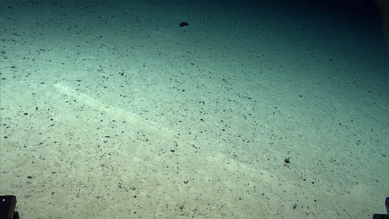 © NOAA