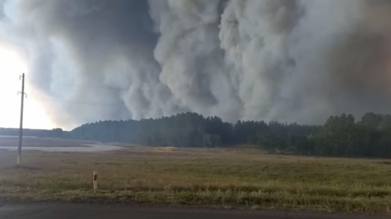 Кадр видео.