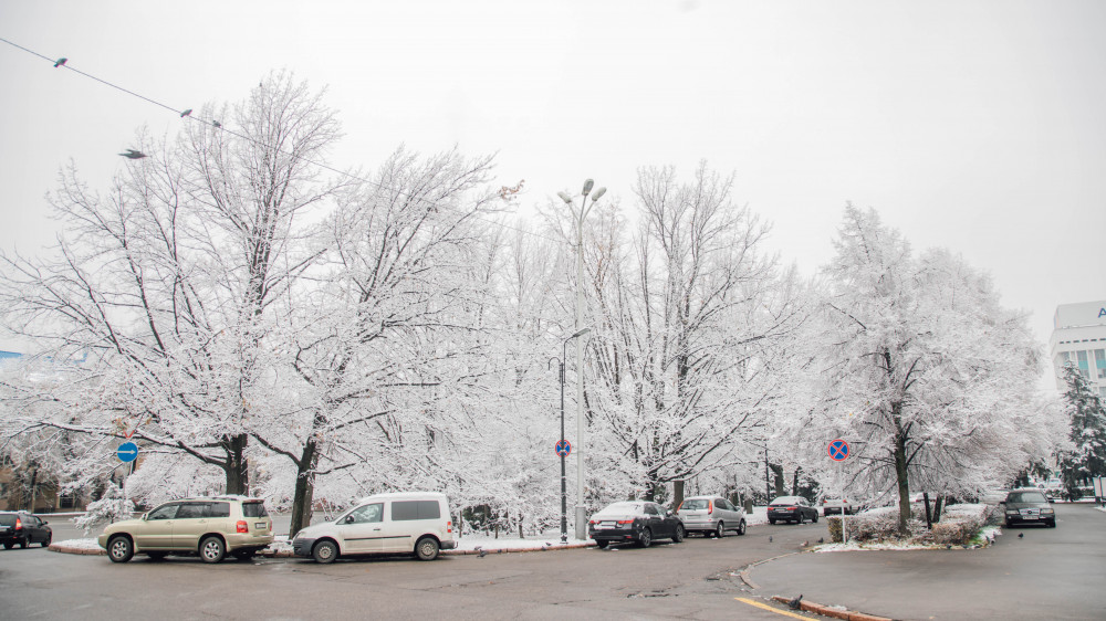 Фото Алихана Сариева