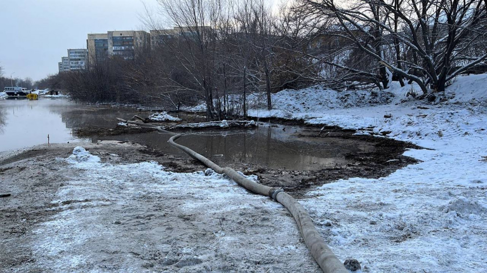 Фото предоставлено пресс-службой акимата Семея