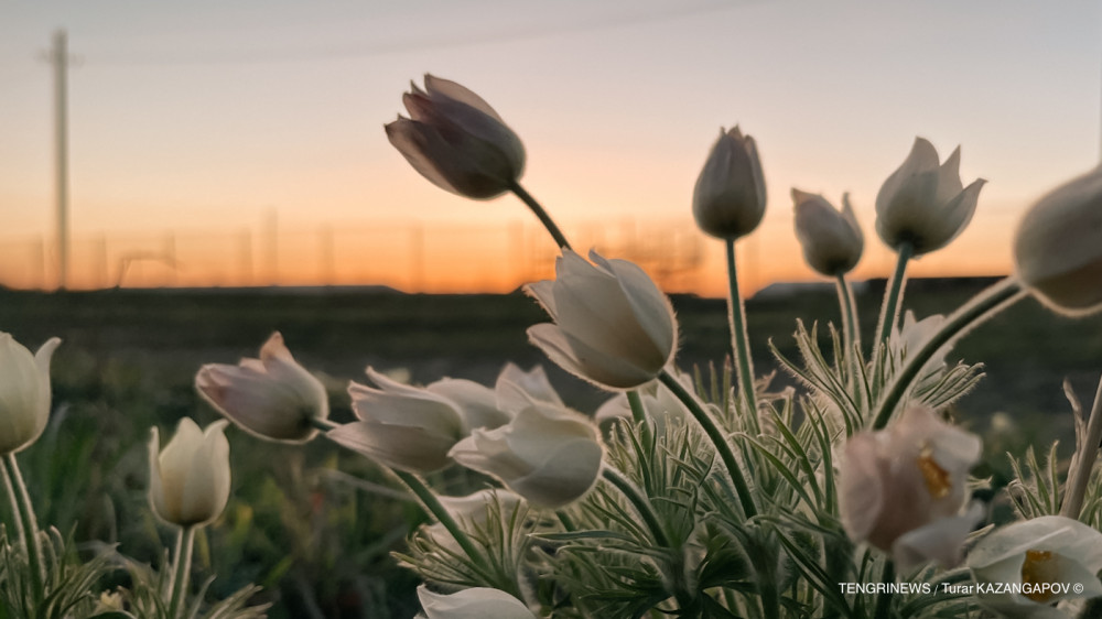 Фото Турар Казангапов