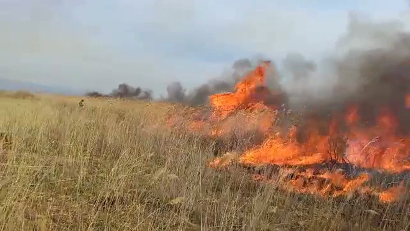 Видео ДЧС ВКО