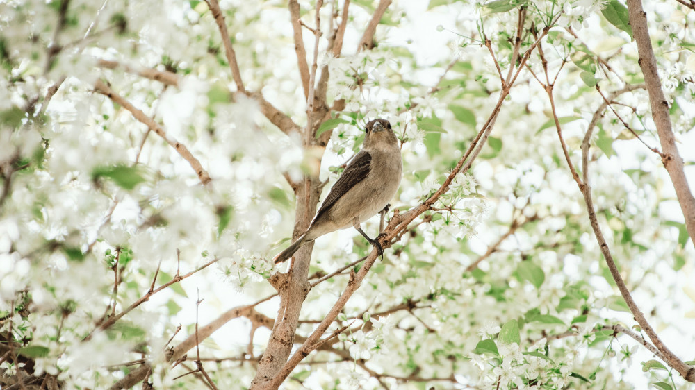 Фото:elements.envato.com