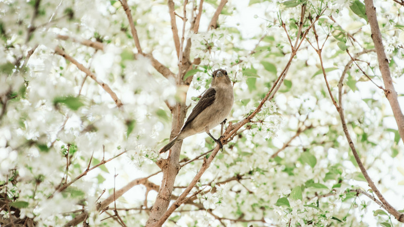 Фото:elements.envato.com