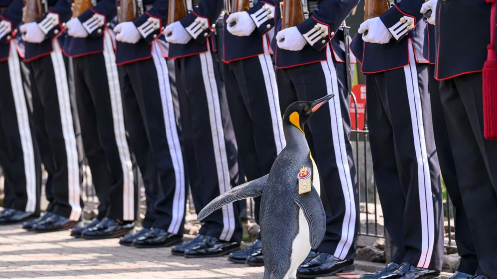 Фото: The Royal Edinburgh Military Tattoo