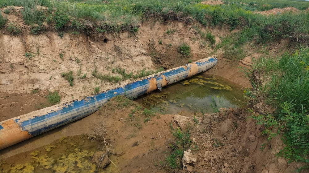 Фото пресс-службы УВП Акмолинской области