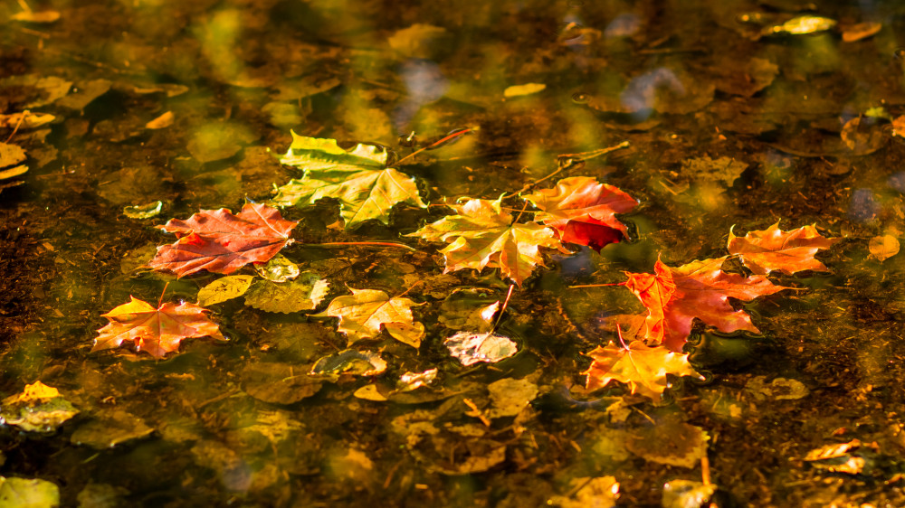 Фото: depositphotos.com