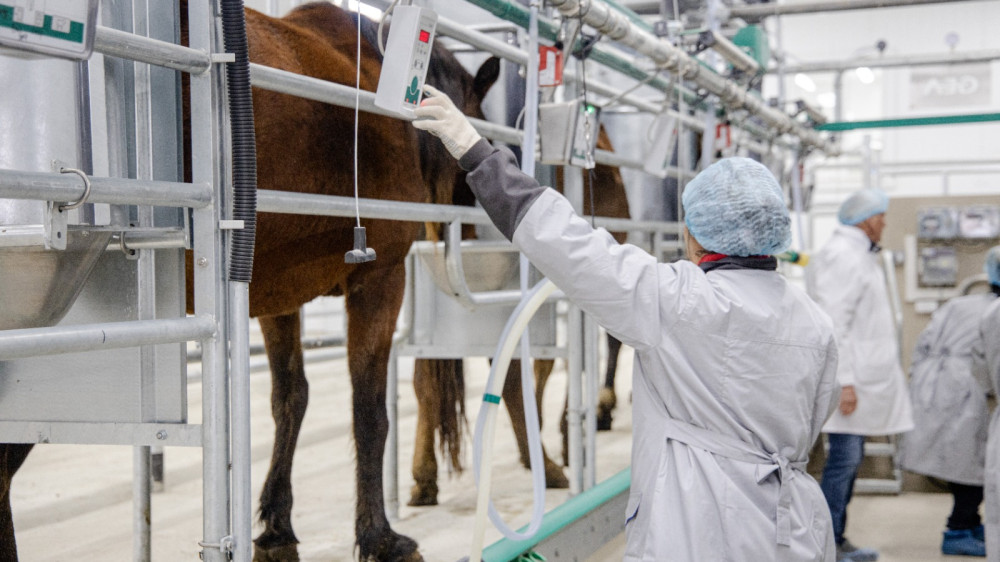 Фото предоставлено ТОО S-Agro-Borovskoe