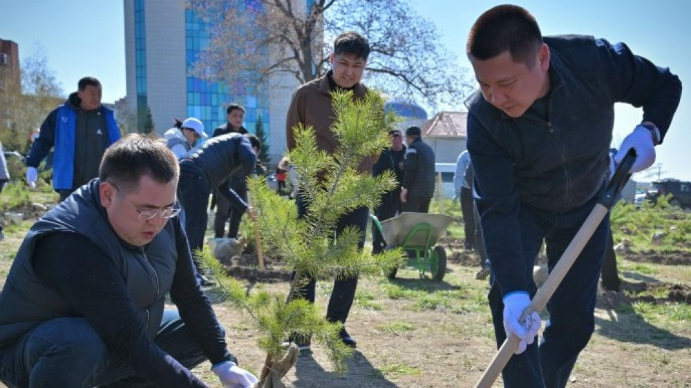 Фото предоставлено акиматом Павлодарской области