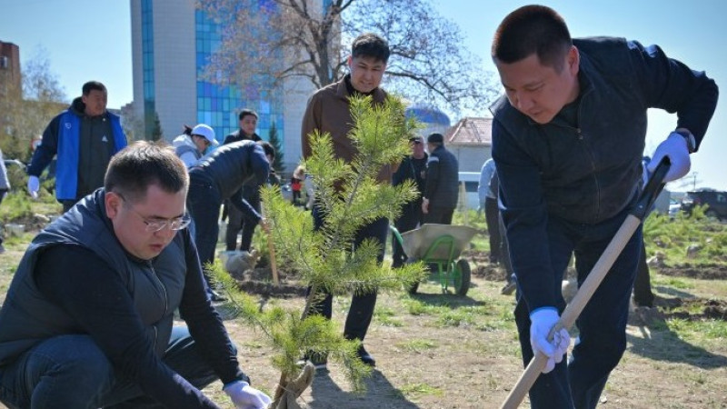 Фото предоставлено акиматом Павлодарской области