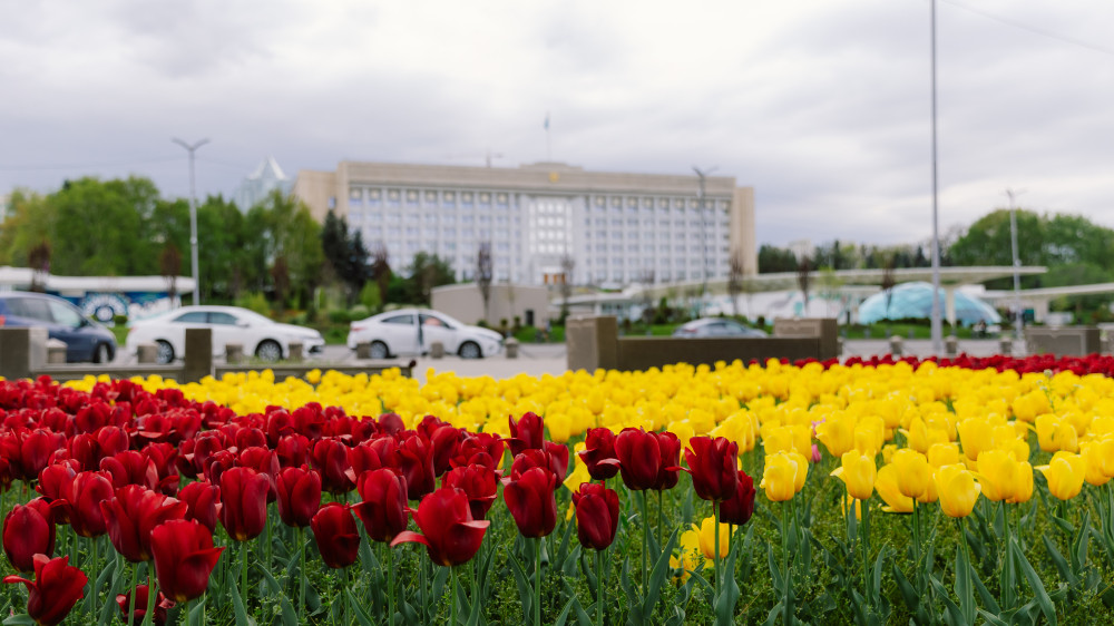 Фото ©️ Tengrinews.kz / Алихан Сариев