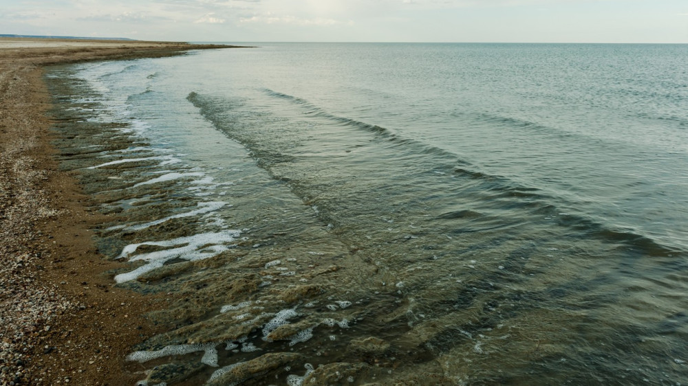 Фото ©️ Турар Казангапов